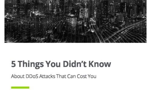 5 Things You Didn’t Know About DDoS Attacks That Can Cost You