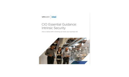 CIO Essential Guidance: Intrinsic Security